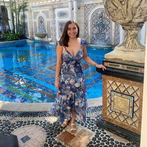 Anthropologie Dress Petite